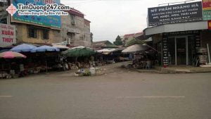 Chợ Tó - Uy Nỗ, Quận Đông Anh