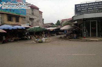 Chợ Tó - Uy Nỗ, Quận Đông Anh