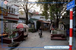 Giới Thiệu Giáp Nhị